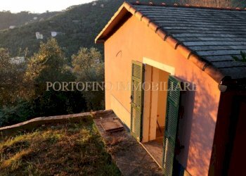 Giardino - Villa piazza 27 Dicembre, Zoagli - foto 4