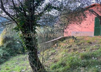 Terreno - Villa piazza 27 Dicembre, Zoagli - foto 10