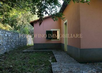 Giardino - Villa piazza 27 Dicembre, Zoagli - foto 11