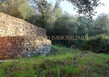 Terreno - Villa piazza 27 Dicembre, Zoagli - foto 12