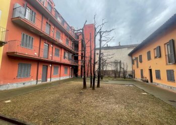 Giardino - Trilocale vicolo Baretti, Valenza - foto 13