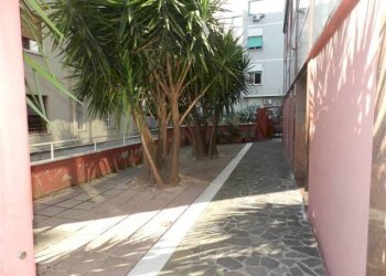 ESTERNO - Stabile - Palazzo Via degli Abeti 29, Roma - foto 17