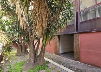 1000199985.jpg - Stabile - Palazzo Via degli Abeti 29, Roma - foto 16