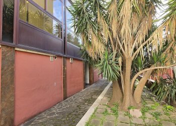 1000199987.jpg - Stabile - Palazzo Via degli Abeti 29, Roma - foto 18