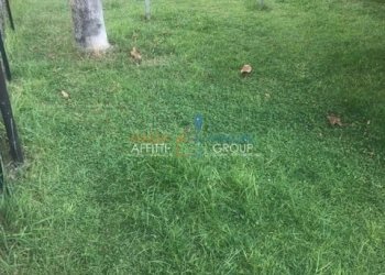 IMG_3382.jpg - Villa a Schiera Via Puliche 308, Massa - foto 8