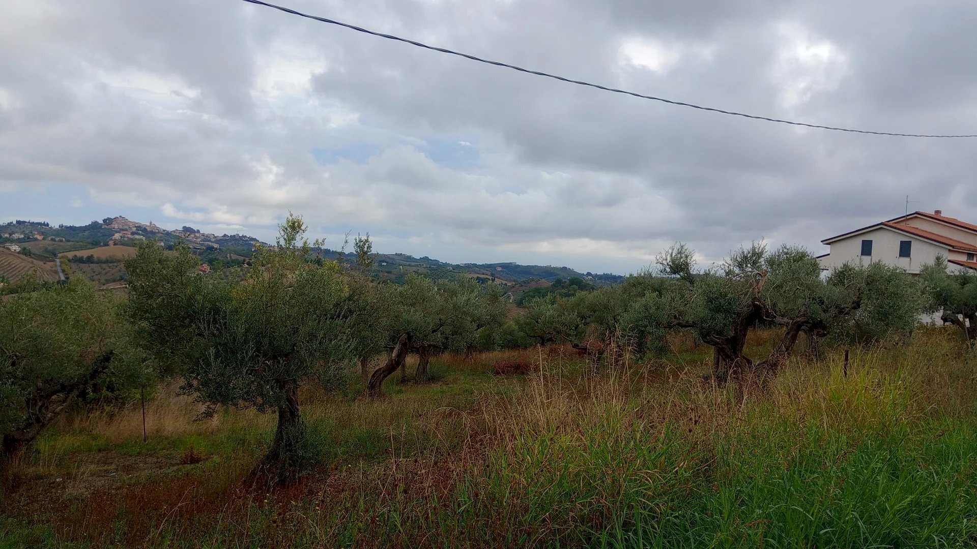 Terreno edificabile via san cosimo caprara, Spoltore - foto 3