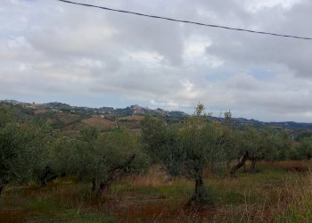 Terreno edificabile via san cosimo caprara, Spoltore - foto 1