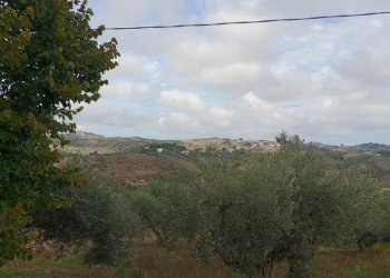 Terreno edificabile via san cosimo caprara, Spoltore - foto 2