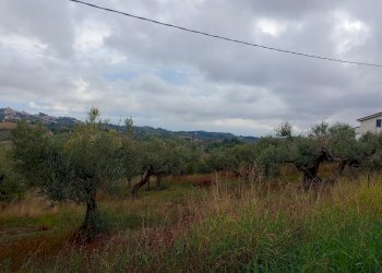 Terreno edificabile via san cosimo caprara, Spoltore - foto 3