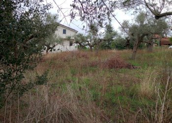 Terreno edificabile via san cosimo caprara, Spoltore - foto 4