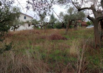 Terreno edificabile via san cosimo caprara, Spoltore - foto 5