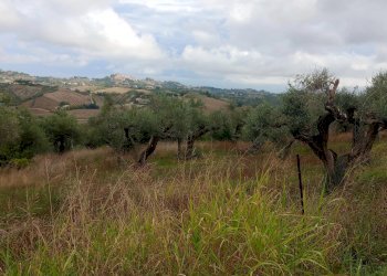 Terreno edificabile via san cosimo caprara, Spoltore - foto 9