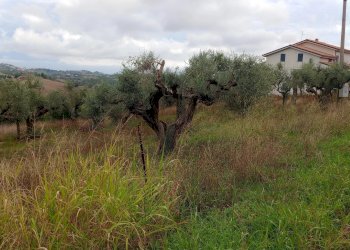 Terreno edificabile via san cosimo caprara, Spoltore - foto 10