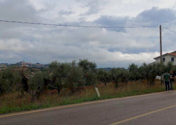 Terreno edificabile via san cosimo caprara, Spoltore - foto 12