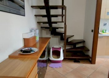 Appartamento Reggio nell'Emilia - foto 15