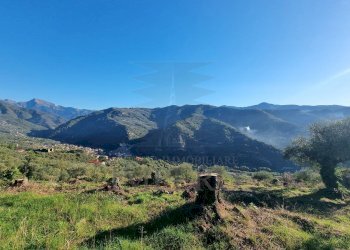 Agricultural land Via Tornatore Monsignore B 6, Dolceacqua - photo 19