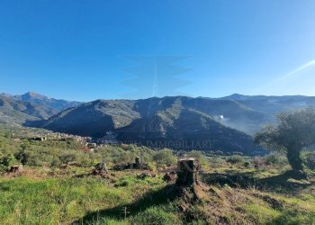 Agricultural land Via Tornatore Monsignore B 6, Dolceacqua - photo 20