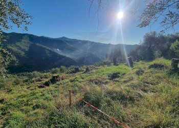 Agricultural land Via Tornatore Monsignore B 6, Dolceacqua - photo 21