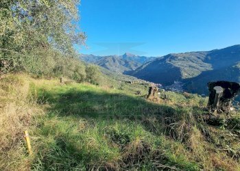 Agricultural land Via Tornatore Monsignore B 6, Dolceacqua - photo 23