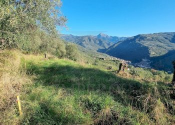 Agricultural land Via Tornatore Monsignore B 6, Dolceacqua - photo 24