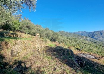 Agricultural land Via Tornatore Monsignore B 6, Dolceacqua - photo 25
