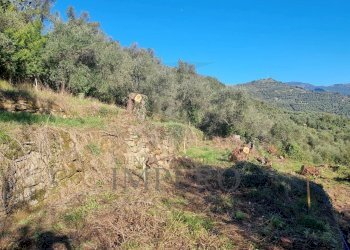 Agricultural land Via Tornatore Monsignore B 6, Dolceacqua - photo 27