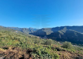 Agricultural land Via Tornatore Monsignore B 6, Dolceacqua - photo 28