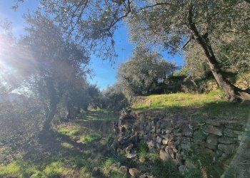 Agricultural land Via Tornatore Monsignore B 6, Dolceacqua - photo 29