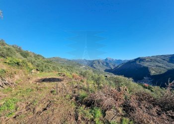 Agricultural land Via Tornatore Monsignore B 6, Dolceacqua - photo 30