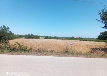 IMG-20240701-WA0001 (Copia).jpg - Terreno edificabile VIA CUNA RE DI COPPE, Lanciano - foto 1