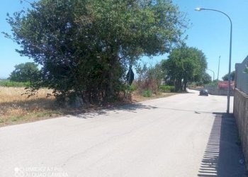 IMG-20240701-WA0003 (Copia).jpg - Terreno edificabile VIA CUNA RE DI COPPE, Lanciano - foto 2