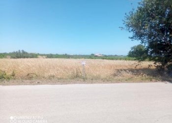 IMG-20240701-WA0004 (Copia).jpg - Terreno edificabile VIA CUNA RE DI COPPE, Lanciano - foto 3