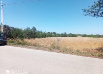 IMG-20240701-WA0006 (Copia).jpg - Terreno edificabile VIA CUNA RE DI COPPE, Lanciano - foto 4