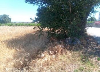 IMG-20240701-WA0009 (Copia).jpg - Terreno edificabile VIA CUNA RE DI COPPE, Lanciano - foto 5