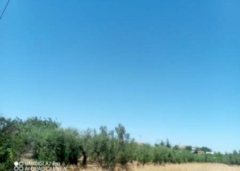 IMG-20240701-WA0012 (Copia).jpg - Terreno edificabile VIA CUNA RE DI COPPE, Lanciano - foto 8