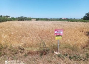 IMG-20240701-WA0014 (Copia).jpg - Terreno edificabile VIA CUNA RE DI COPPE, Lanciano - foto 9