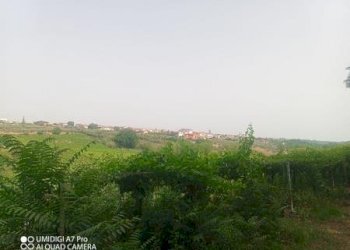 IMG-20240620-WA0021 (Copia).jpg - Terreno agricolo C.DA VILLA STANAZZO, Lanciano - foto 16