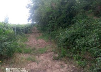IMG-20240620-WA0026 (Copia).jpg - Terreno agricolo C.DA VILLA STANAZZO, Lanciano - foto 20