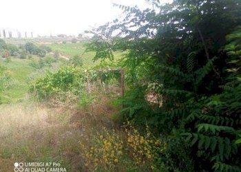 IMG-20240620-WA0028 (Copia).jpg - Terreno agricolo C.DA VILLA STANAZZO, Lanciano - foto 22