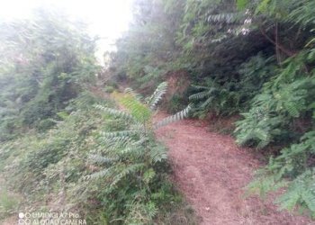 IMG-20240620-WA0029 (Copia).jpg - Terreno agricolo C.DA VILLA STANAZZO, Lanciano - foto 23