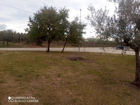 IMG_20231130_101921_361 (Copia).jpg - Rustico VIA VECCHIA SCORCIOSA, Fossacesia - foto 2