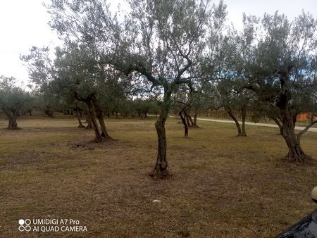 IMG_20231130_101927_575 (Copia).jpg - Rustico VIA VECCHIA SCORCIOSA, Fossacesia - foto 3