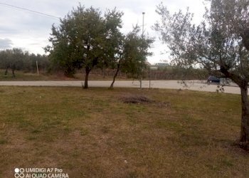 IMG_20231130_101921_361 (Copia).jpg - Rustico VIA VECCHIA SCORCIOSA, Fossacesia - foto 2