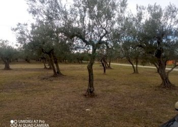 IMG_20231130_101927_575 (Copia).jpg - Rustico VIA VECCHIA SCORCIOSA, Fossacesia - foto 3