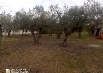 IMG_20231130_101936_851 (Copia).jpg - Rustico VIA VECCHIA SCORCIOSA, Fossacesia - foto 4