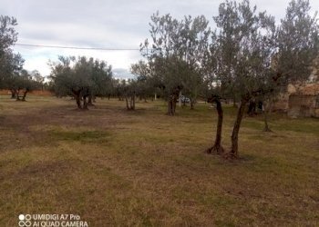 IMG_20231130_102259_884 (Copia).jpg - Rustico VIA VECCHIA SCORCIOSA, Fossacesia - foto 13