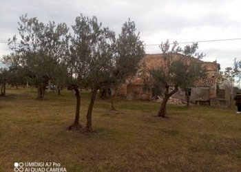 IMG_20231130_102301_690 (Copia).jpg - Rustico VIA VECCHIA SCORCIOSA, Fossacesia - foto 14
