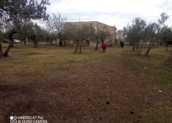 IMG_20231130_102324_880 (Copia).jpg - Rustico VIA VECCHIA SCORCIOSA, Fossacesia - foto 16