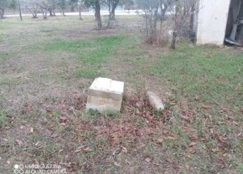 IMG_20231130_102527_437 (Copia).jpg - Rustico VIA VECCHIA SCORCIOSA, Fossacesia - foto 17