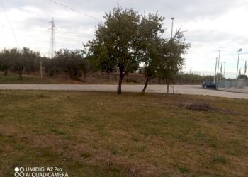 IMG_20231130_102932_798 (Copia).jpg - Rustico VIA VECCHIA SCORCIOSA, Fossacesia - foto 19